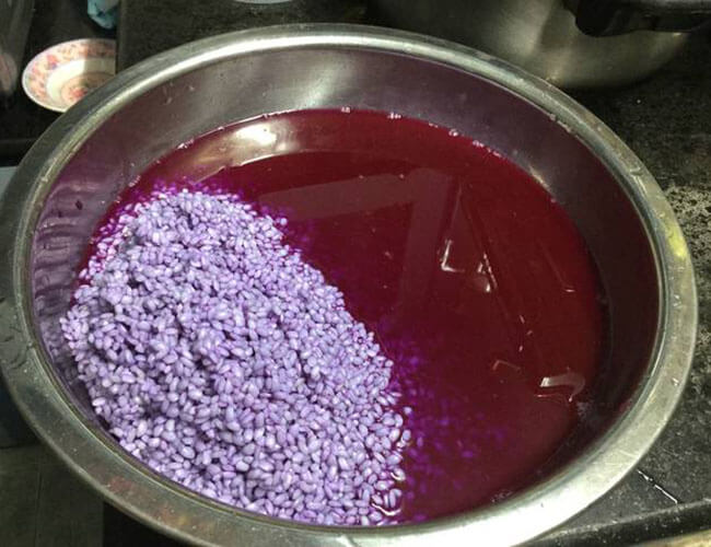 Ngâm gạo nếp vào nước lá cẩm để lấy màu tím đẹp